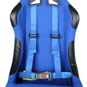 Arnés 2 puntos anclaje azul